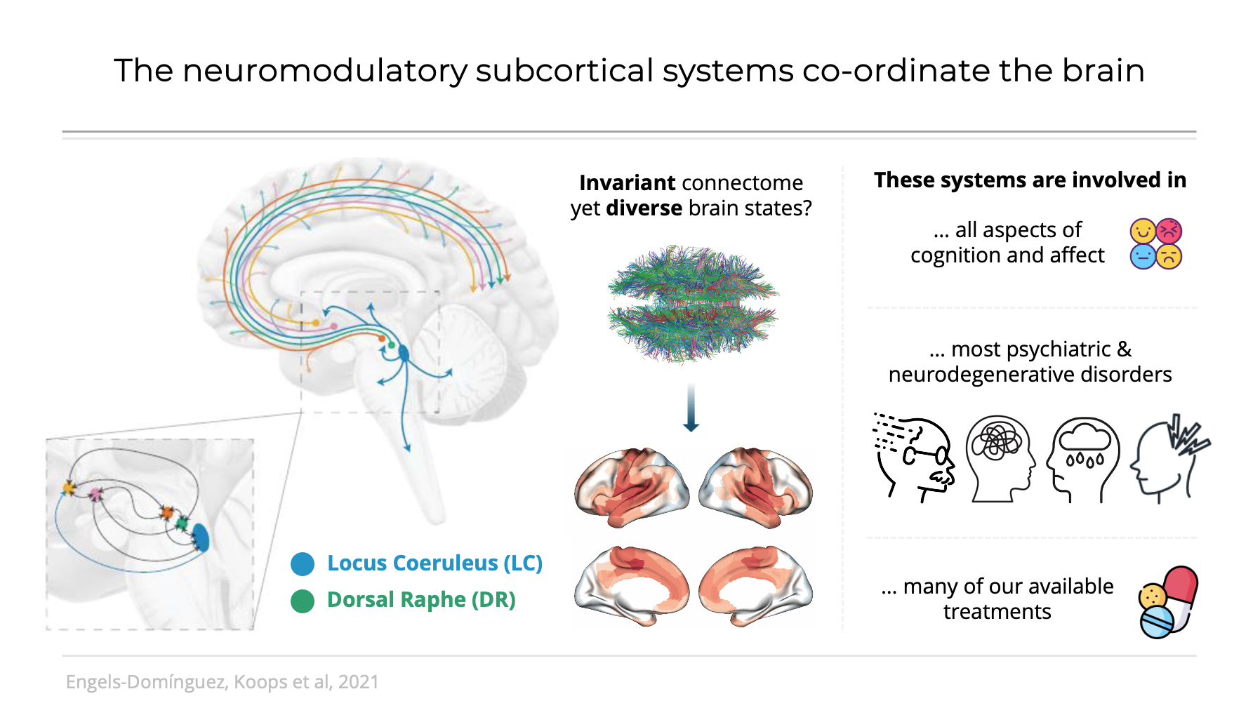 Neuromodulatory systems coordinate the brain